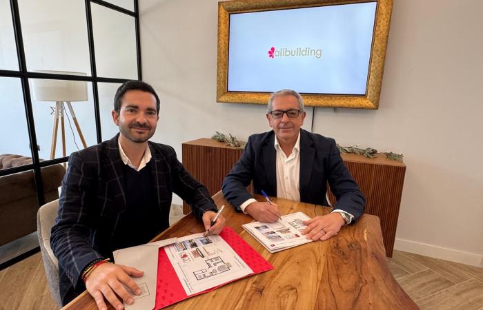 Firma constructora San Juan Collection